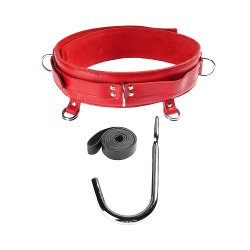 Forced Ass Hook Wearing Rig by Kink - Bundles