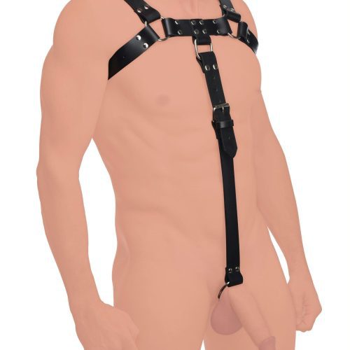 English Bull Dog Harness with Cock Strap - Leatherr