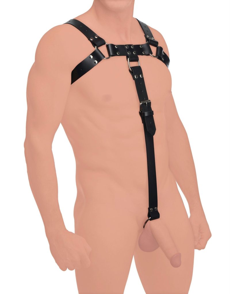 English Bull Dog Harness with Cock Strap - Leatherr