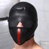 Scorpion Hood With Removable Blindfold and Face Mask - Hoods-Muzzles