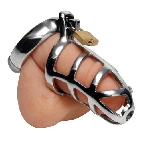 Detained Stainless Steel Chastity Cage - Chastity